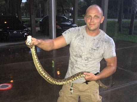 Humane Animal Removal Services in Clearwater, FL